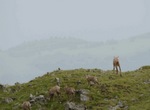  Une maison au bord d'un lac
