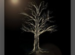 Eden on Earth
