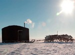 Guardians of the Tundra