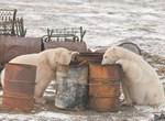 Cleaning Arctic